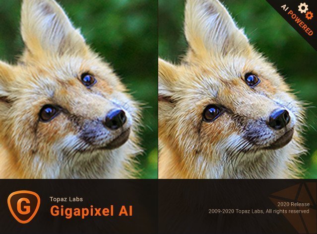 Topaz Gigapixel AI Pro